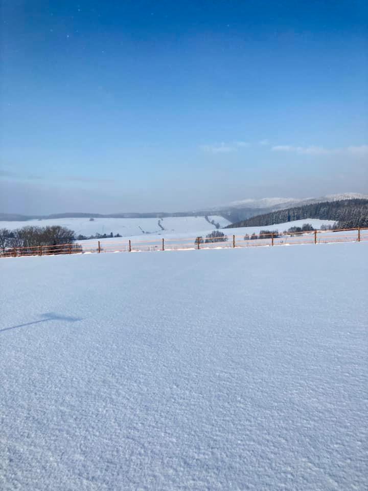 Zima na farmě